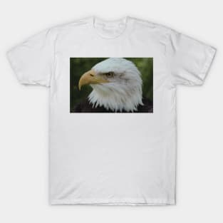Bald Eagle (Cool) T-Shirt